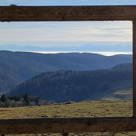 Appartamento Sonnenstrahl Todtmoos Esterno foto
