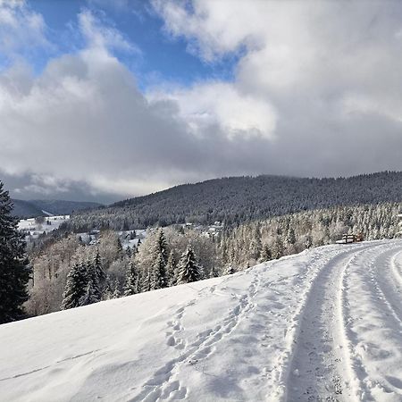 Appartamento Sonnenstrahl Todtmoos Esterno foto