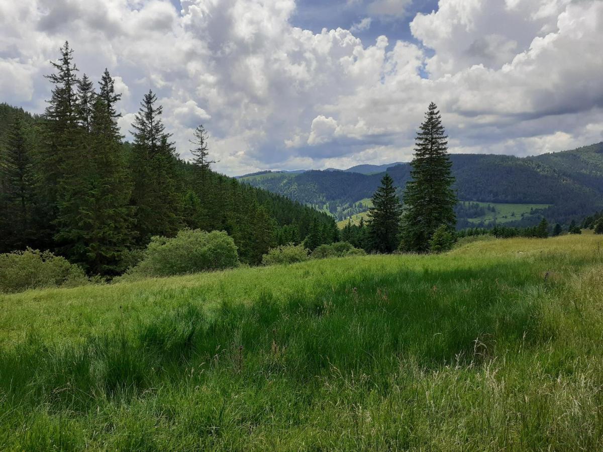 Appartamento Sonnenstrahl Todtmoos Esterno foto