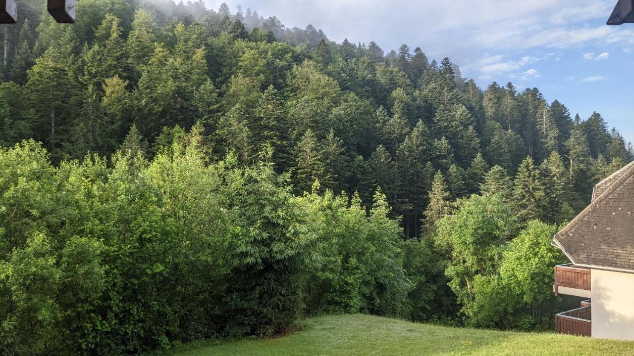 Appartamento Sonnenstrahl Todtmoos Esterno foto