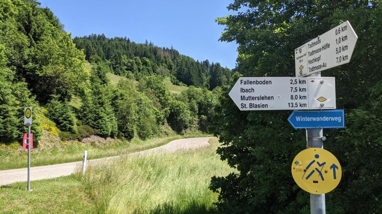 Appartamento Sonnenstrahl Todtmoos Esterno foto