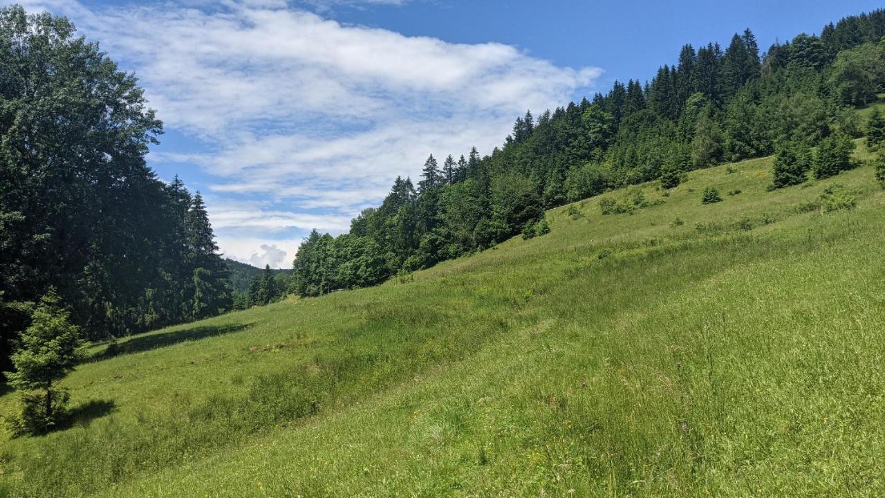 Appartamento Sonnenstrahl Todtmoos Esterno foto
