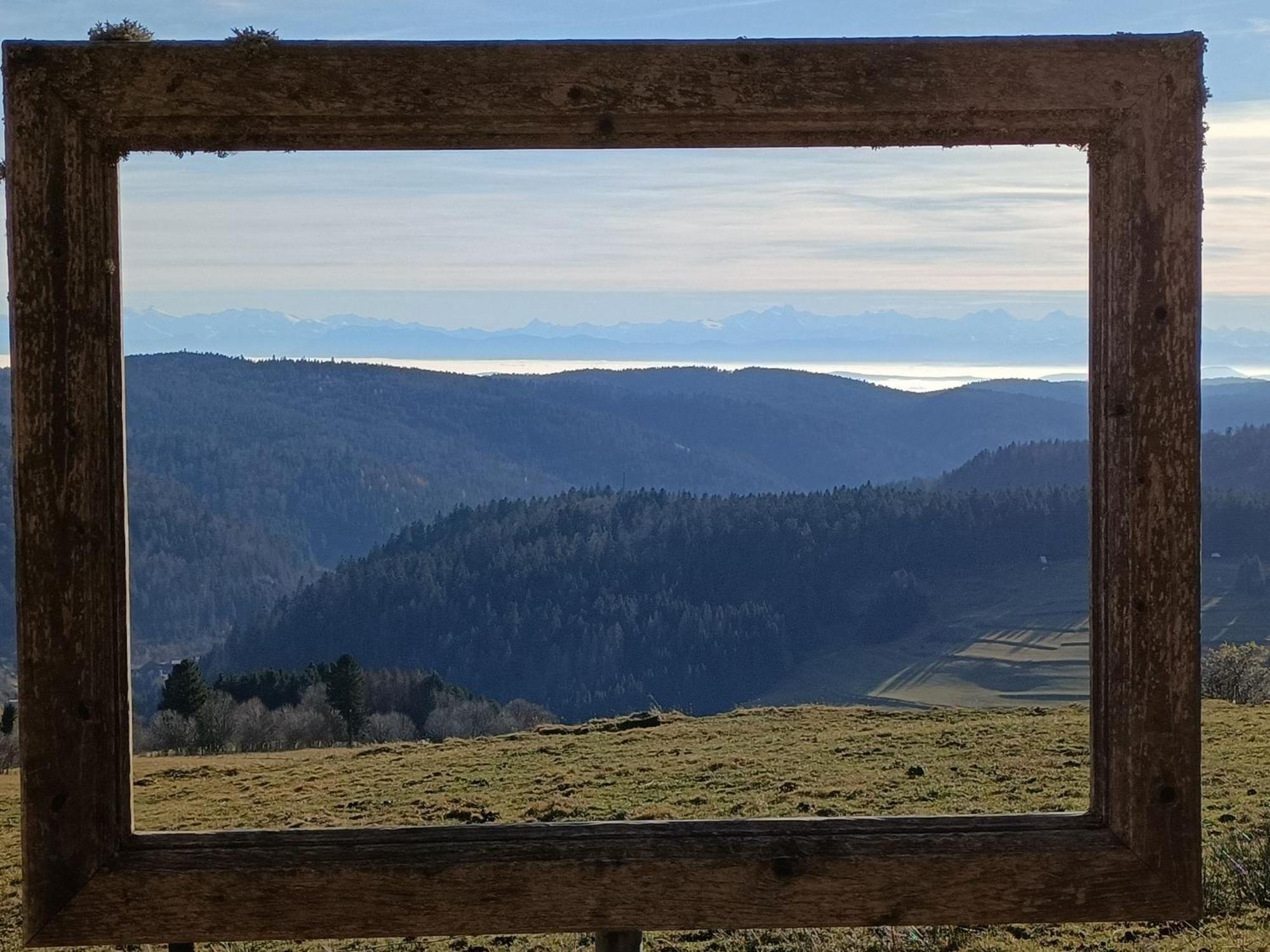 Appartamento Sonnenstrahl Todtmoos Esterno foto